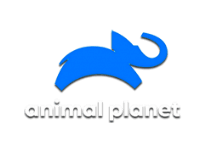 Animal Planet онлайн